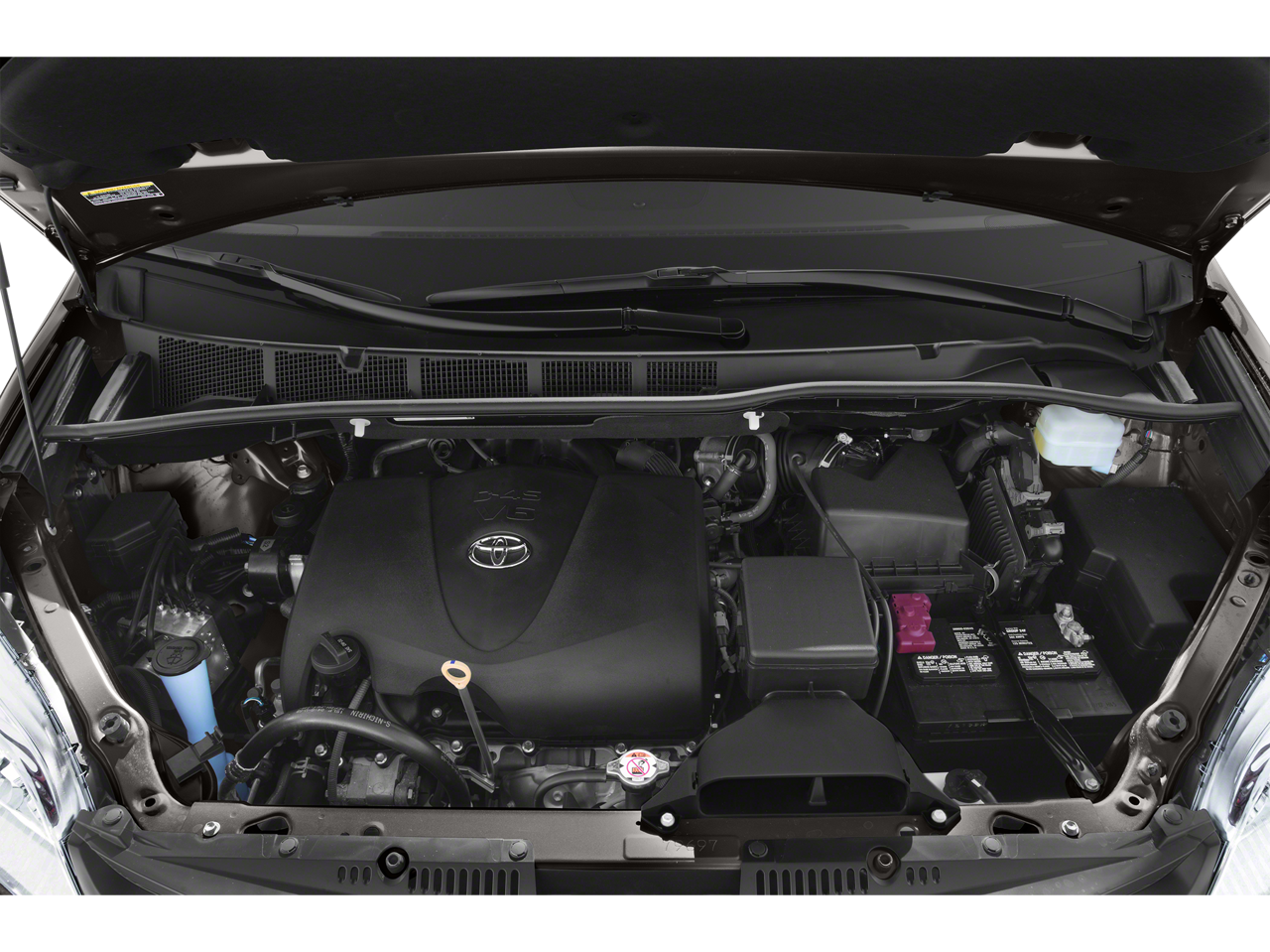 2019 Toyota Sienna XLE 8 Passenger