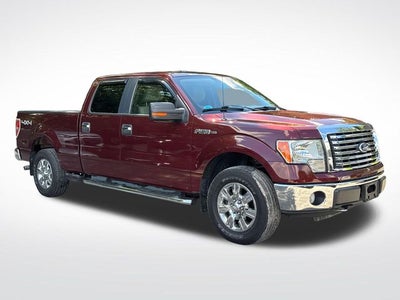 2010 Ford F-150 XL