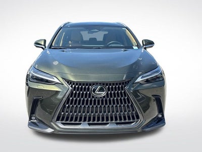 2025 Lexus NX 350 Luxury