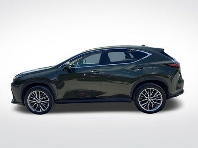 2025 Lexus NX 350 Luxury