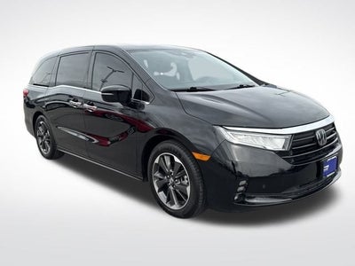 2024 Honda Odyssey Elite