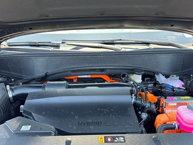 2026 Hyundai PALISADE HYBRID Blue SEL 8 Passenger